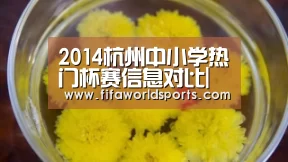 2014杭州中小学热门杯赛信息对比|赛事数据(图2) 世界杯直播