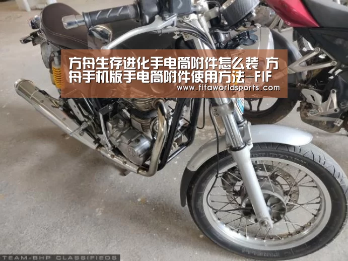 世界杯直播