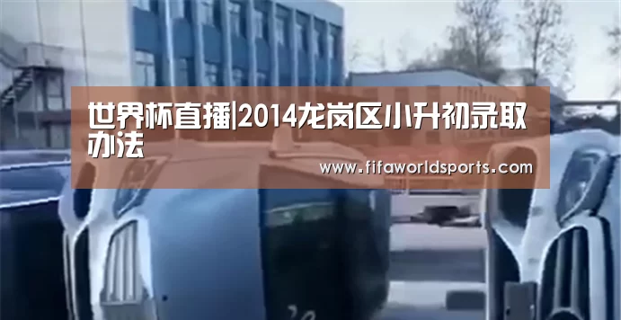 世界杯直播|2014龙岗区小升初录取办法(图1) 赛事数据