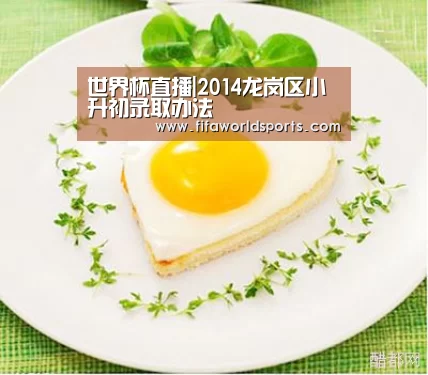 世界杯直播|2014龙岗区小升初录取办法(图3) 赛事数据