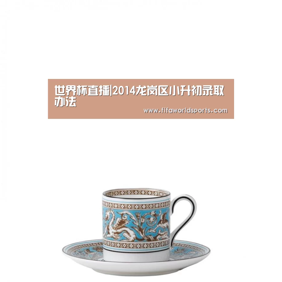 世界杯直播|2014龙岗区小升初录取办法(图2) FIFA 2026