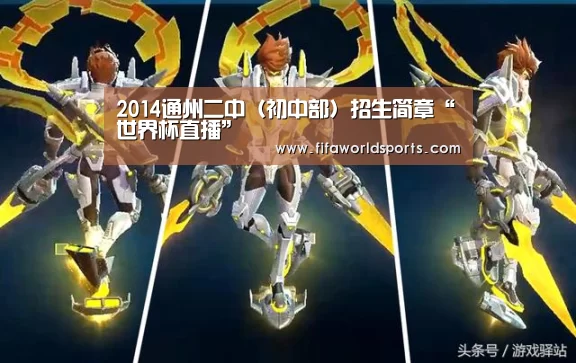 2014通州二中(初中部)招生简章“世界杯直播”(图1) 赛事数据