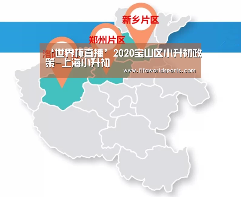 ‘世界杯直播’2020宝山区小升初政策-上海小升初(图1) FIFA 2026