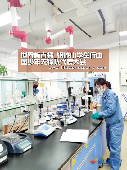 世界杯直播_铝城小学举行中国少年先锋队代表大会(图1) 赛事数据
