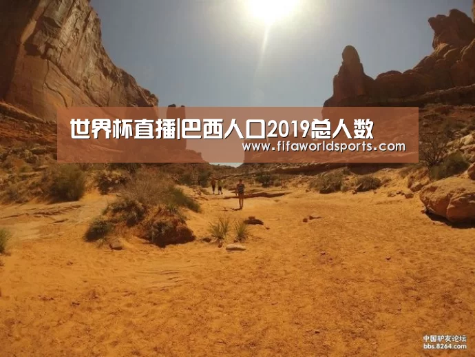世界杯直播|巴西人口2019总人数(图1) FIFA 2026